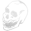 skull